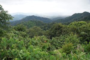 Kaeng Krachan Nationalpark Phanoen Thung Camp Aussicht in Richtung Myanmar