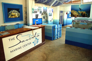 Kenia Diani Beach Marine Center