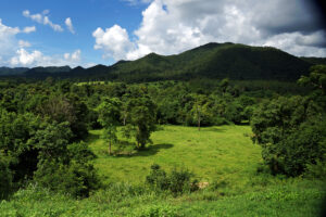 Kui Buri Nationalpark