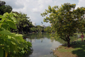 Bangkok Lumpini Park