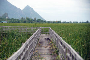 Khao Sam Roi Yot Nationalpark Sumpflandschaft