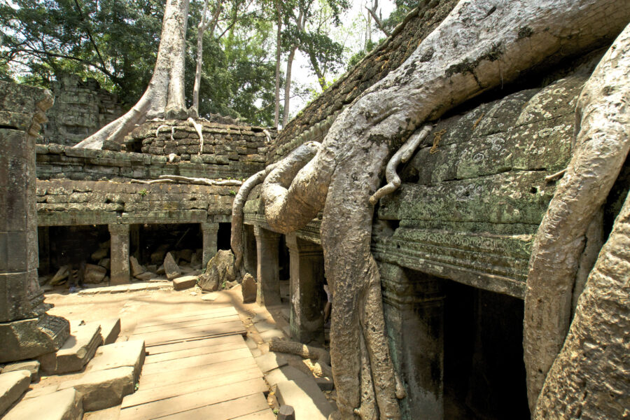 Angkor