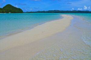 Palau Rock Islands Überwasser