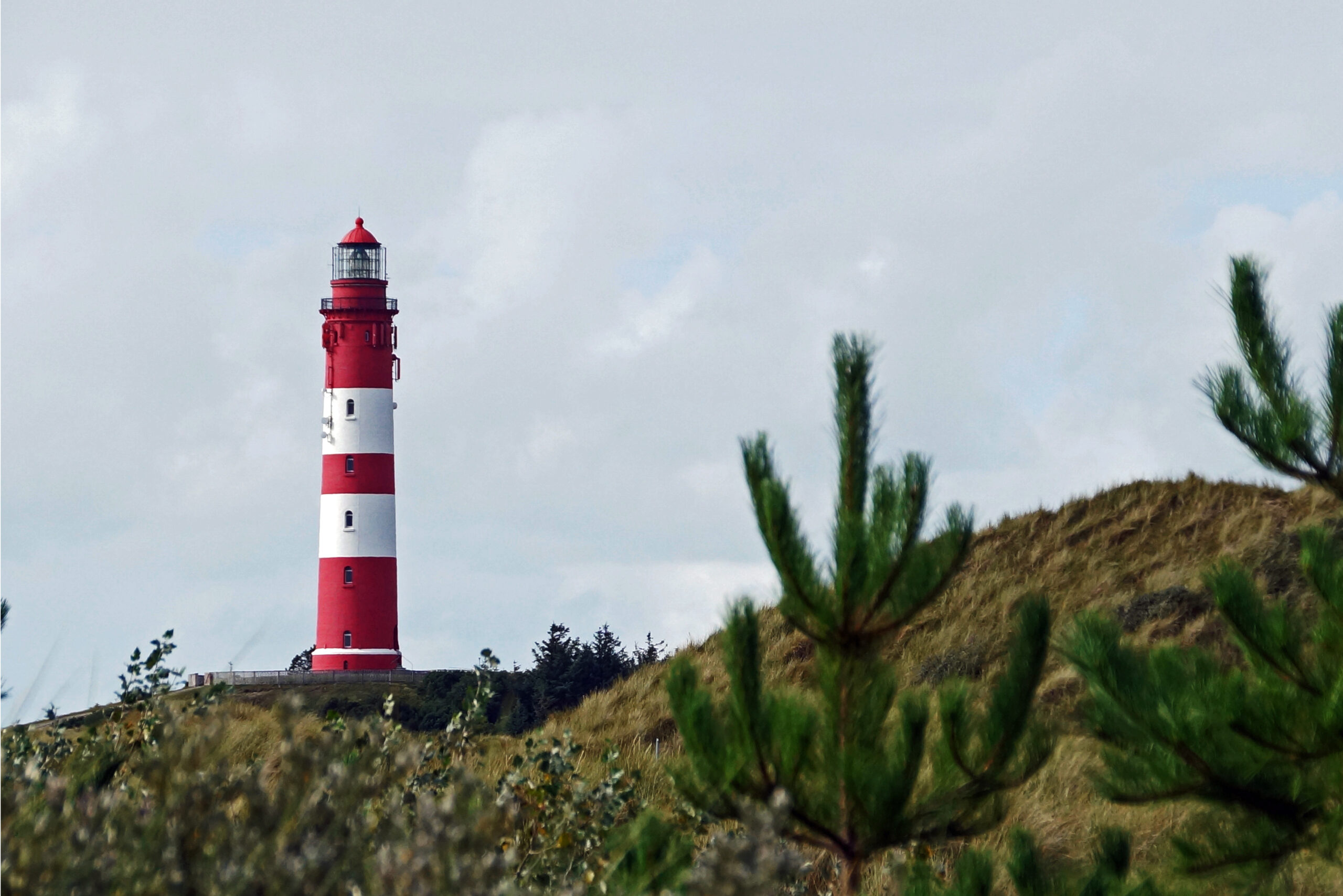 Nordsee Amrum Leuchtturm