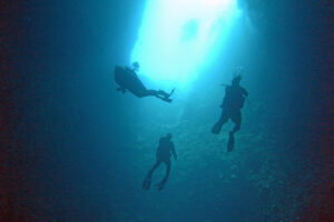 Palau Blue Holes Tauchen Großfisch Haie