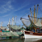 Nordsee - Krabbenkutter in Fedderwardersiel auf der Halbinsel Butjadingen in Niedersachsen..